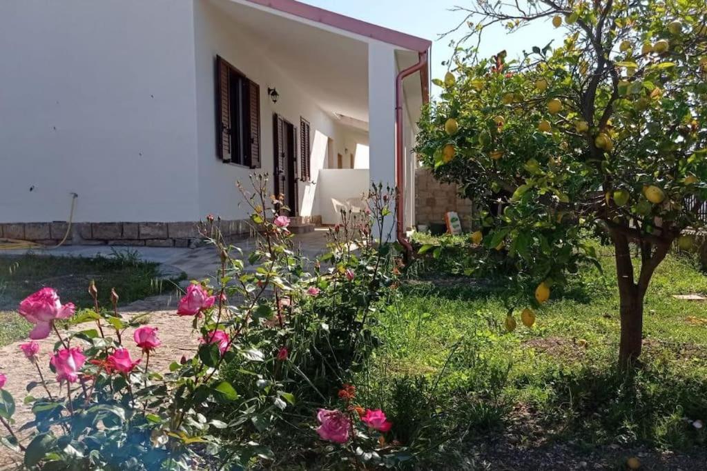 فيلا Casa Bellavista Villarios المظهر الخارجي الصورة